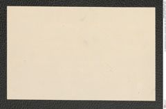 k.k. naturhistorisches Hofmuseum, Intendanzakten 1885-1896 (Hauer), Aktenzahl Z.15/1891, Seite 2